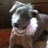 Photo de profil de Brenda