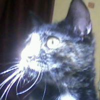 Photo de profil de Lilith