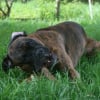 Photo de Bounty
