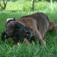 Photo de profil de Bounty
