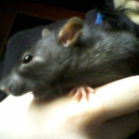 Photo de profil de Krueger