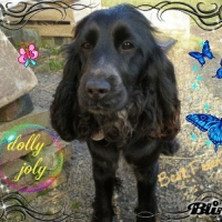 Photo de profil de Dolly joly