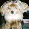 Photo de Indy