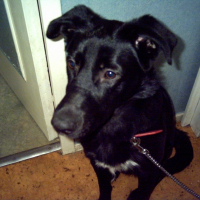 Photo de profil de Elsa