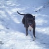 Photo de Manou