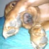 Photo de Booba