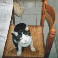 Photo de profil de Régliss