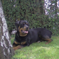 Photo de profil de Cara