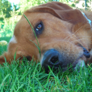 Photo de profil de Samy