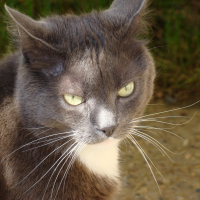 Photo de profil de Kiwi