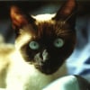 Photo de Elea