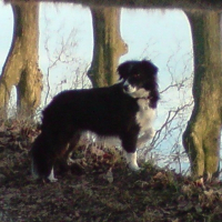 Photo de profil de Zoé
