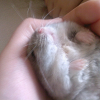 Photo de profil de Vicky