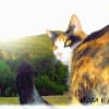 Photo de Cloé