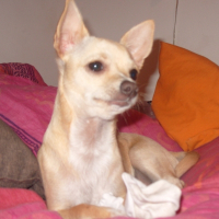 Photo de profil de Daïa