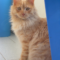 Photo de profil de Peanut