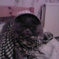 Photo de profil de Loulou