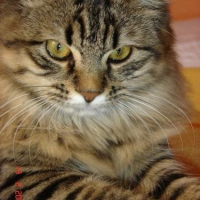 Photo de profil de Juliette