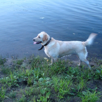 Photo de profil de Bijou