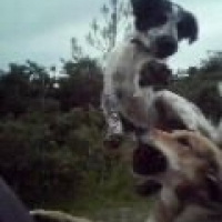 Photo de profil de Bouba