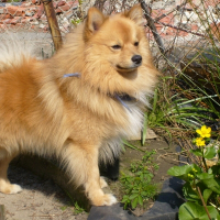Photo de profil de Guismo