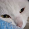 Photo de Windy