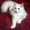 Photo de Dagmar