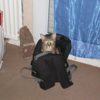 Photo de profil de Litchy