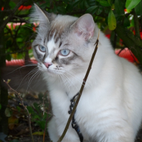 Photo de profil de Djazz
