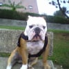 Photo de Azur