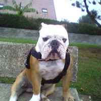 Photo de profil de Azur