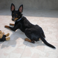 Photo de profil de Dixy