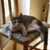 Photo de Minette