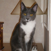 Photo de profil de Chanelle