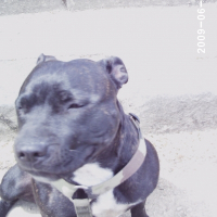 Photo de profil de Bahia