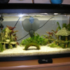 Photo de Aqua 100l