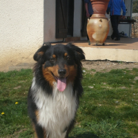 Photo de profil de Dayko