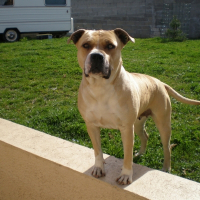 Photo de profil de Talia