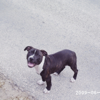 Photo de profil de Enzo