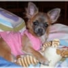 Photo de Mila