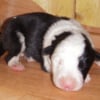 Photo de Eahaven