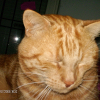 Photo de profil de Touba