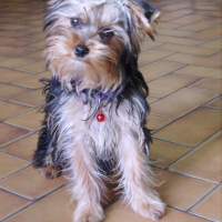 Photo de profil de Eden