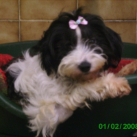 Photo de profil de Lolita