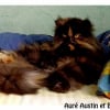 Photo de Raja