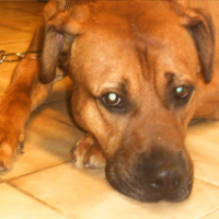 Photo de profil de Killer