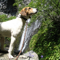 Photo de profil de Patmol