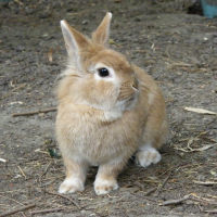 Photo de profil de Cannelle