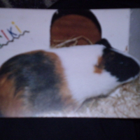 Photo de profil de Riki