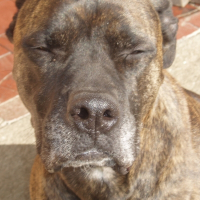 Photo de profil de Buzz